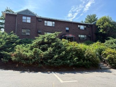 32 Spencer Rd APT 24M