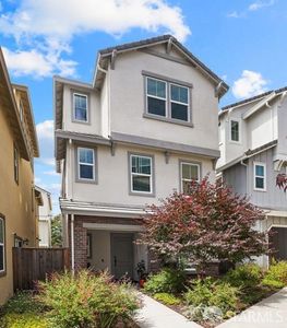 24105 Amaranth Loop