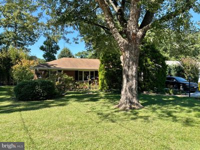 407 Norman Ave