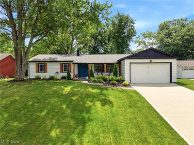 161 Devorah Dr