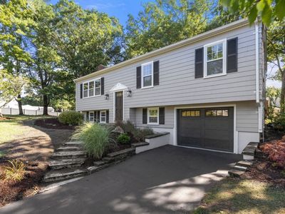 95 Blackmount Dr
