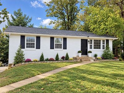 133 Luna Dr