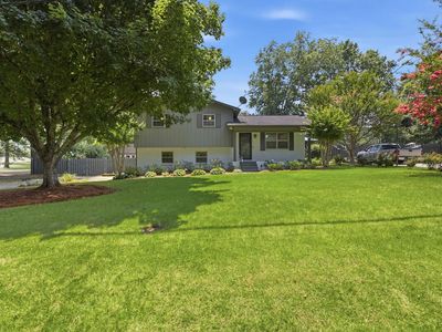 Property at 916 Graham Ln, Mount Olive, AL