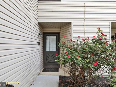 45-1 Holly Dr