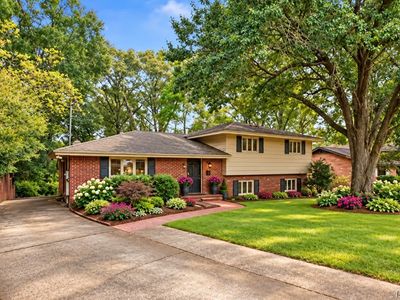 962 Green Forest Dr