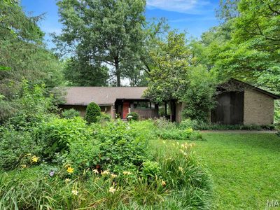 10 Sassafras Ln