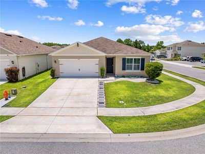 1242 IGUANA LOOP