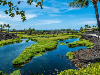 69-1035 Keana Pl APT 315