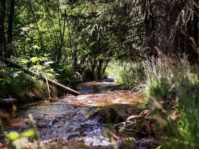 8300 Brookside Meadows Ln