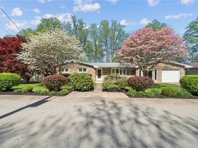 115 Isabelle St