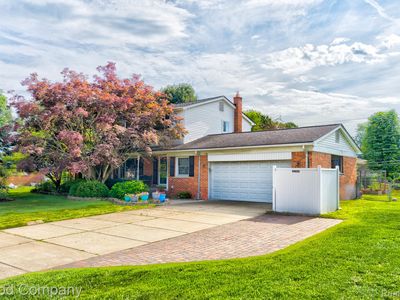53625 Shelby Rd