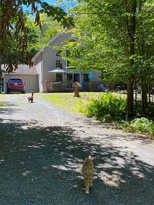 132 Jean Danielson Dr