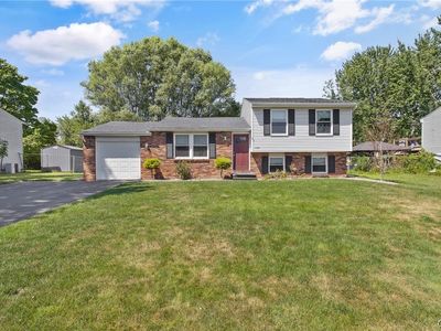 8307 Spicebush Trl