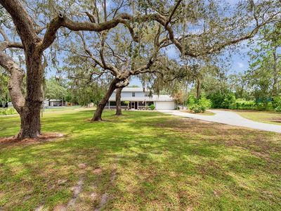 11324 Black Walnut St