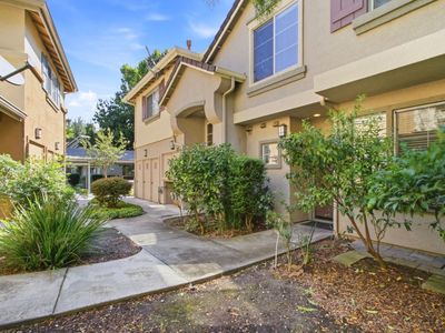 388 Ribbonwood Ave