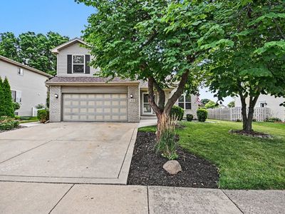 619 Wild Indigo Ave
