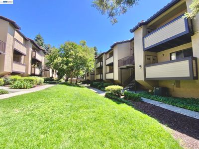 205 Wenatchee Cmn #16