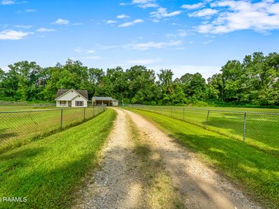 273 Muscadine Rd