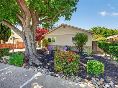 508 Tyrella Ave