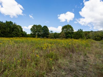 Property at 387 Jim Perkins Rd, Bradyville, TN