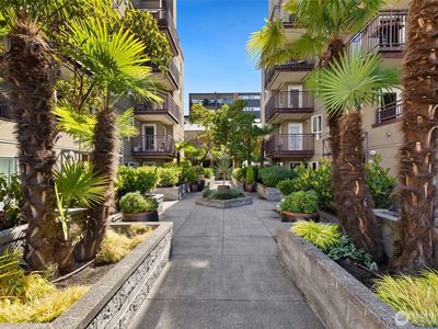 1711 E Olive Way #308