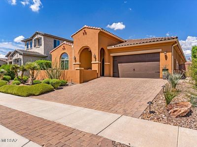 13425 N Silver Cassia Pl