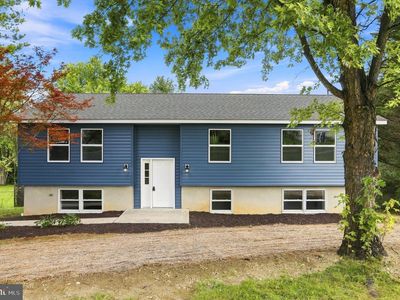 52 Dumpling Dr