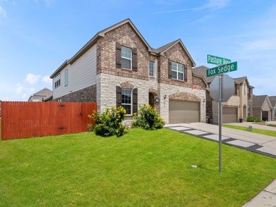 905 Pasture Rose