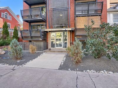 1336 N Logan Street #302
