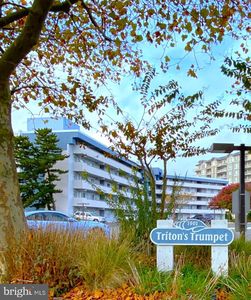 7901 Coastal Hwy #C50203