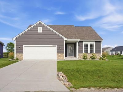 W218N16071 Tiger Lily DRIVE