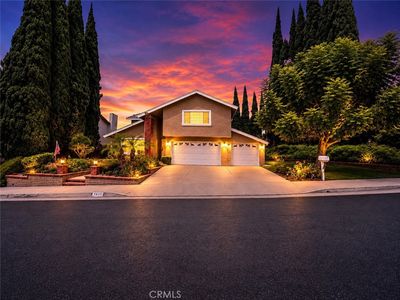 1421 Lemon Tree Ct