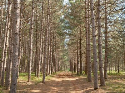 15069 County Road 109