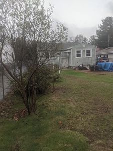 17 Monarch St