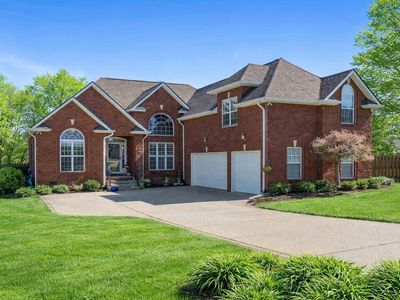157 Mimosa Dr