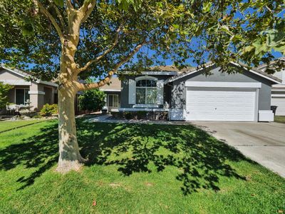 4339 Sardina Ct