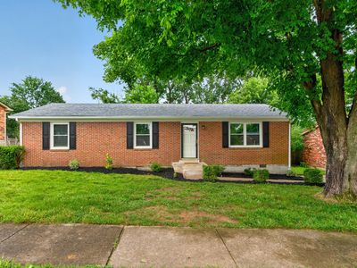 317 Royalty Dr