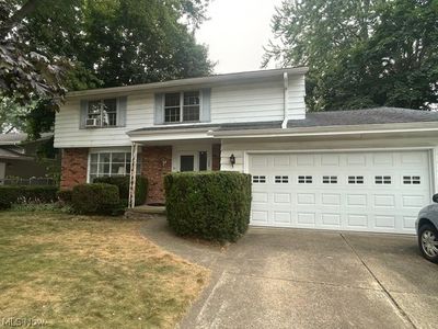 365 Wallace Dr