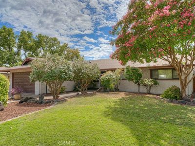 805 Madrone Ave
