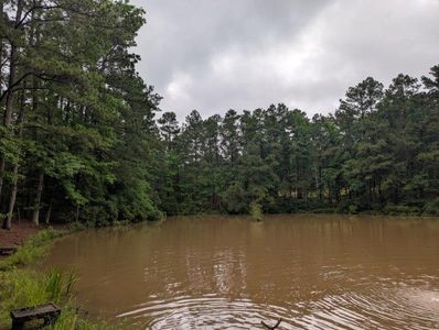 7635 Us Highway 84 W