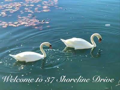 37 Shoreline Dr