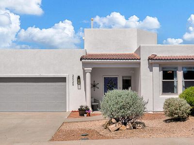 2025 San Patricio Loop