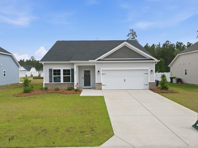 369 Palmetto Sand Loop