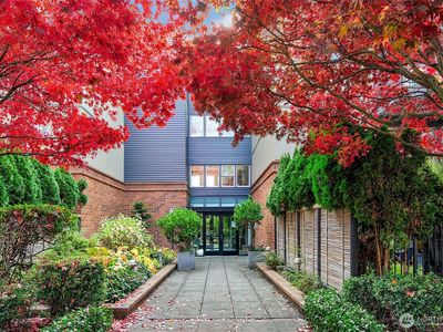 275 W Roy Street #119