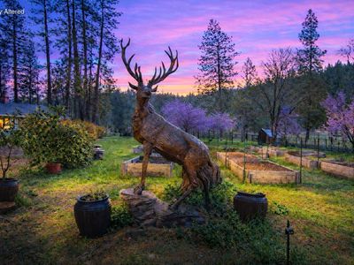 29276 Bullskin Ridge Rd