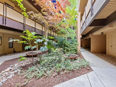 200 P St APT E11