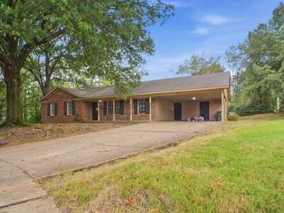 3621 Tulip Tree Cv