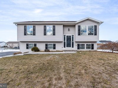 341 Cortland Cir