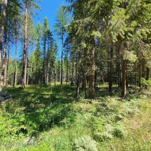 Property at Nna Bear Claw Rd, Clark Fork, ID