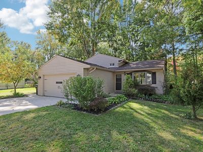 318 Maplewood Ct